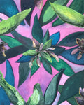 Harlequin Cordyline by Ziva Sanchez

A close-up of a botanical painting featuring green and blue leaves with pink and purple flower buds on a vibrant pink background.