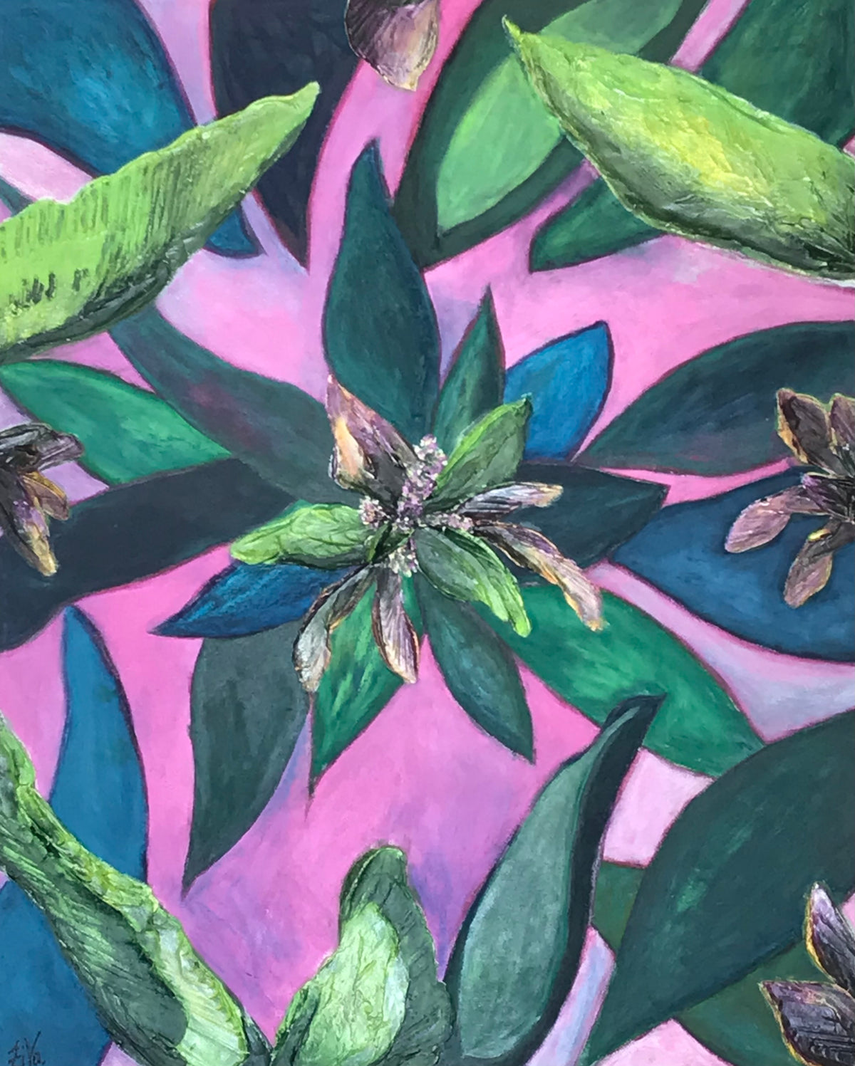 Harlequin Cordyline by Ziva Sanchez

A close-up of a botanical painting featuring green and blue leaves with pink and purple flower buds on a vibrant pink background.